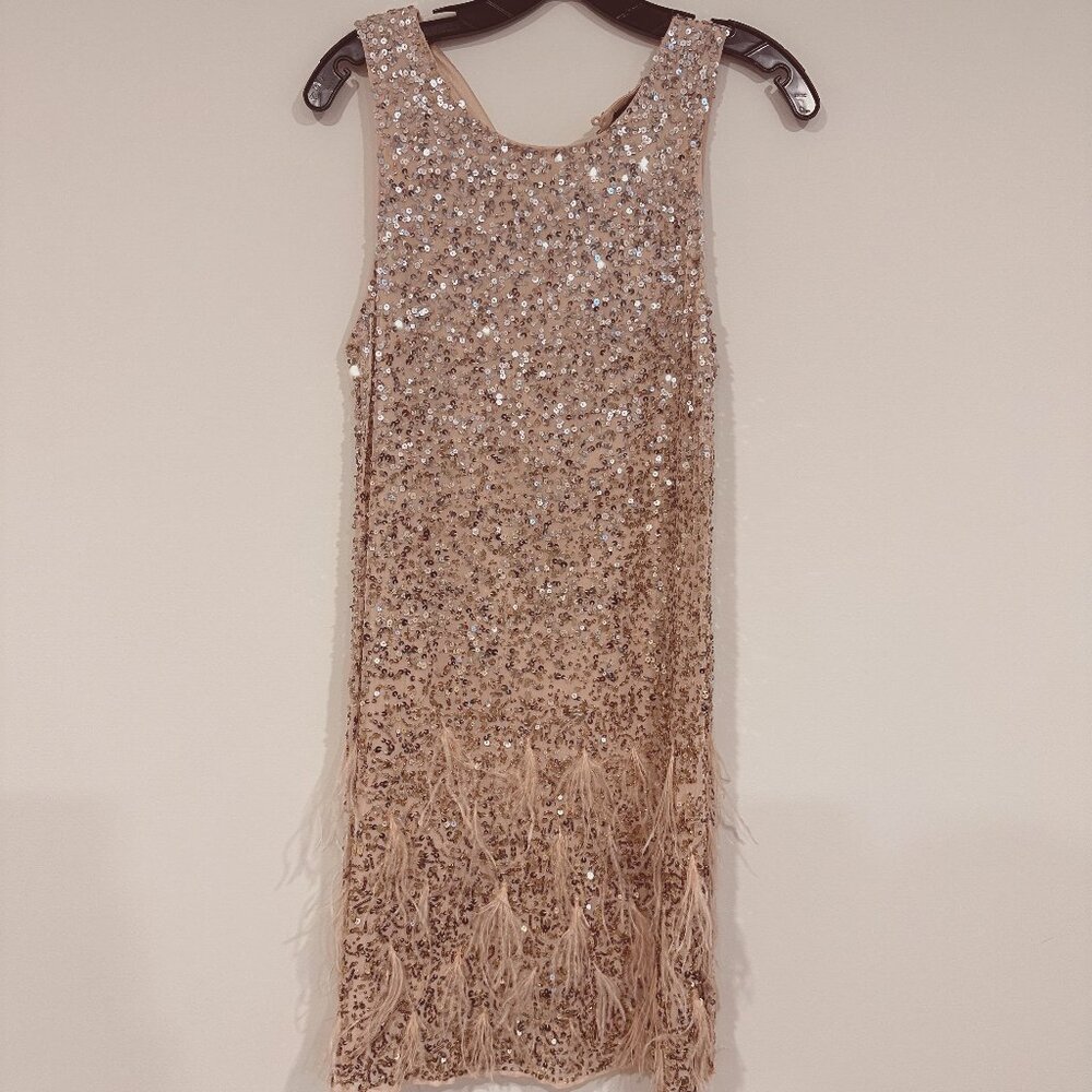 Parker Champagne Dress w/ Ombre Sequins & Feather Detail